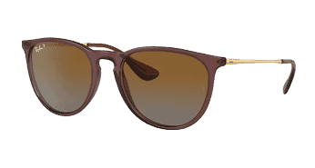 Ray-Ban Erika Sunglasses